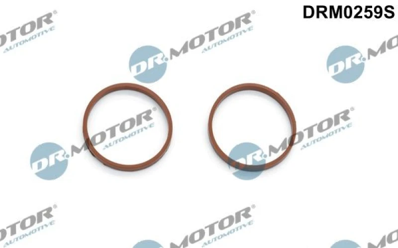 Image of DR.MOTOR AUTOMOTIVE Gasket Set, intake manifold DR.MOTOR AUTOMOTIVE DRM0259S
