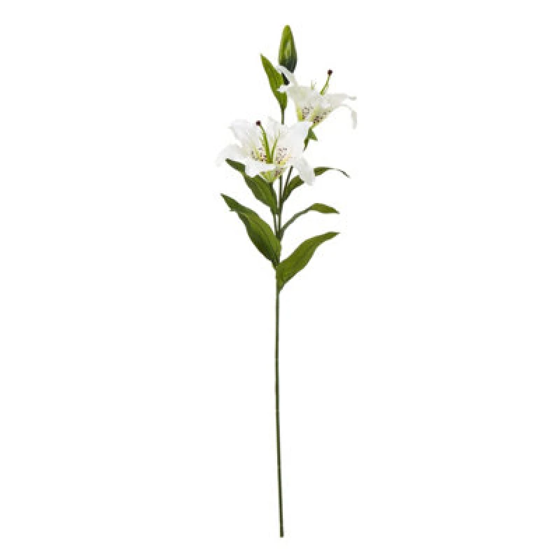 Image of White Madonna Lily Spray