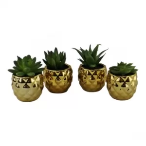 image of Set of 4 Miniature Succulents In Gold Geometric Pots