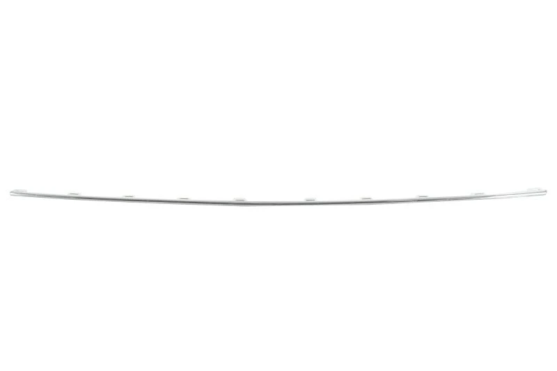Image of BLIC 5703-05-9569921P Trim-/Protection Strip, bumper Front Trim-/Protection Strip,bumper (1002)