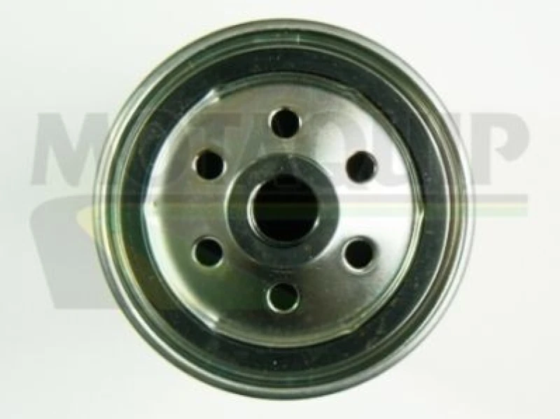 Image of MOTAQUIP Fuel filter MOTAQUIP VFF487