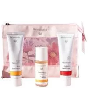 Image of Dr. Hauschka Gifts and Accessories Nurturing Rose Skin Care Kit