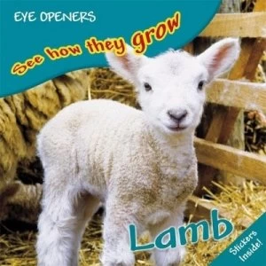 Image of Lamb by Angela Royston and Gordon Clayton Paperback