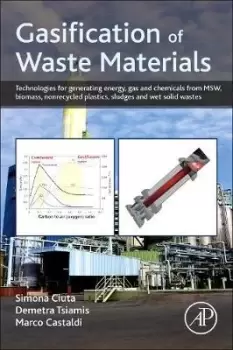 Image of Gasification of Waste Materials by Simona Ciuta