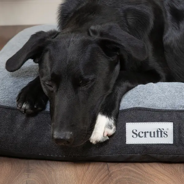 Image of Scruffs Harvard Memory Foam Orthopaedic Mattress Graphite (Grey)