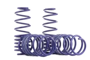 image of H&R Suspension Kit, coil springs Performance Lowering Springs 29012-1 FORD,Fiesta Mk6 Schragheck (JA8, JR8)