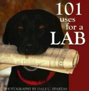Image of 101 uses for a lab
