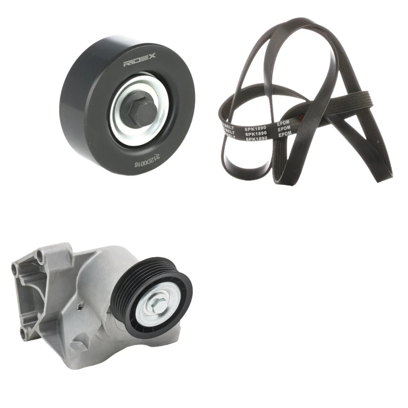 Image of RIDEX 542R0442 V-ribbed belt set V-Ribbed Belt Set (542)