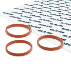 Image of REINZ Gasket Set, intake manifold OPEL,PEUGEOT,TOYOTA 11-11551-01 1608733780,3645962,1608733780 SU00101099