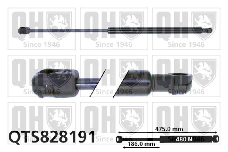 Image of QUINTON HAZELL Tailgate strut QUINTON HAZELL QTS828191