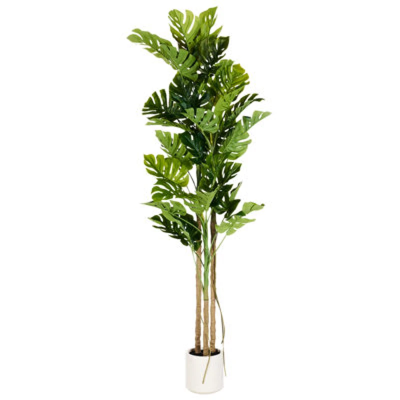 Image of Beliani Artificial Plant Monstera Plant 221cm Green