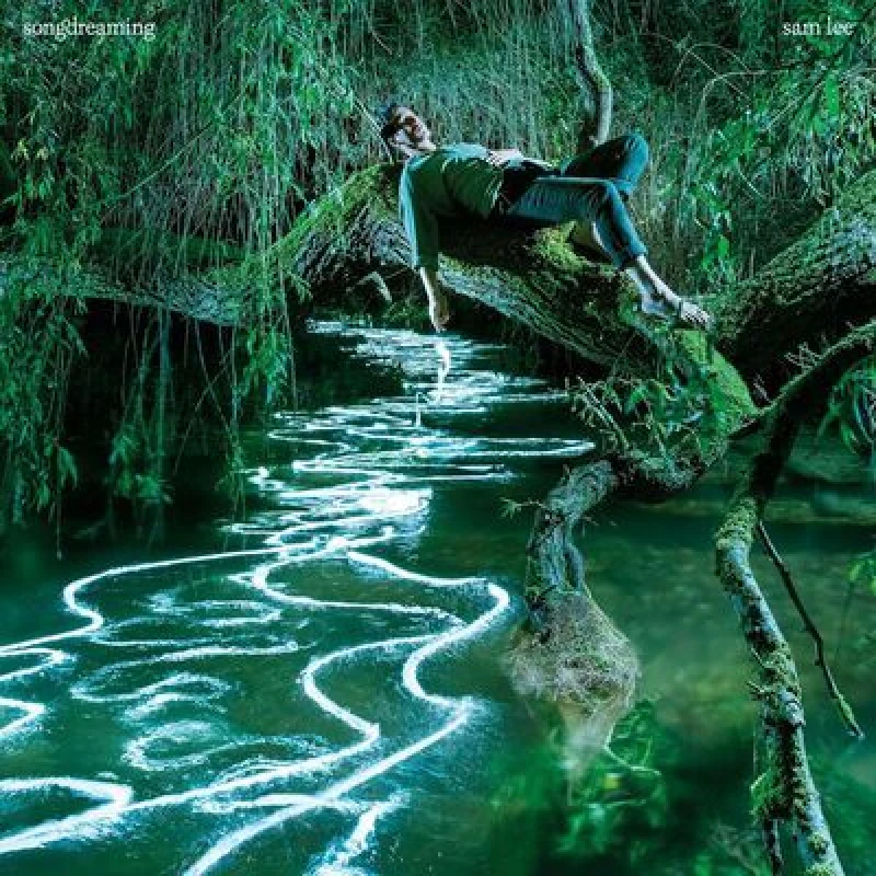 Image of Songdreaming CD / Album