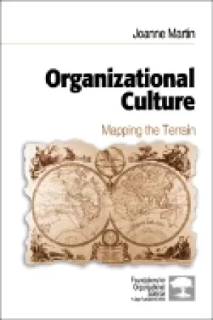 Image of organizational culture mapping the terrain