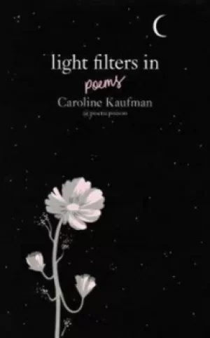 Image of Light filters in by Caroline Kaufman