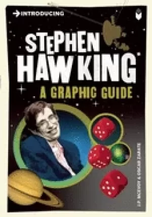 Image of introducing stephen hawking a graphic guide