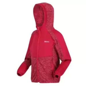 Image of Regatta Dissolver VI Fleece - PkPotion/Bry
