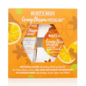 Image of Burt's Bees Botanical Blend Nourishing Hand and Lip Kit - Orange Blossom & Pistachio