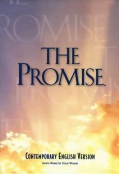 Image of The Promise Book