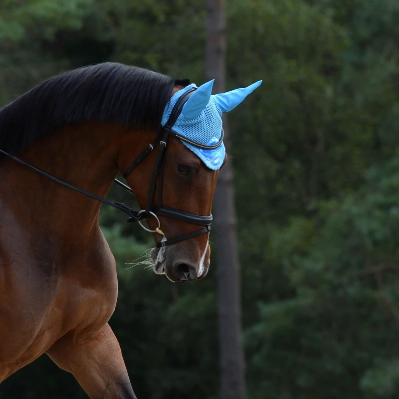 Image of Weatherbeeta Prime Marble Ear Bonnet - Blue Blue Full