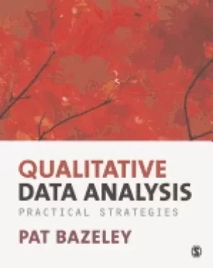 Image of 48 qualitative data analysis practical strategies 03036