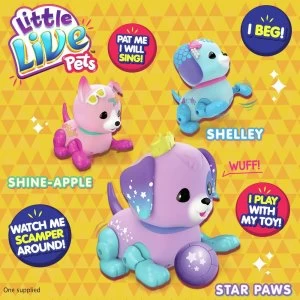 Image of Little Live Pets Lil Precious Pups Single Pack