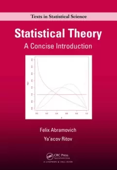 Image of Statistical TheoryA Concise Introduction