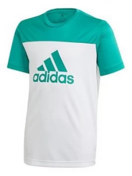 Image of Boys, adidas Youth TR EQ Short Sleeve T-Shirt - White/Green, Size 15-16 Years