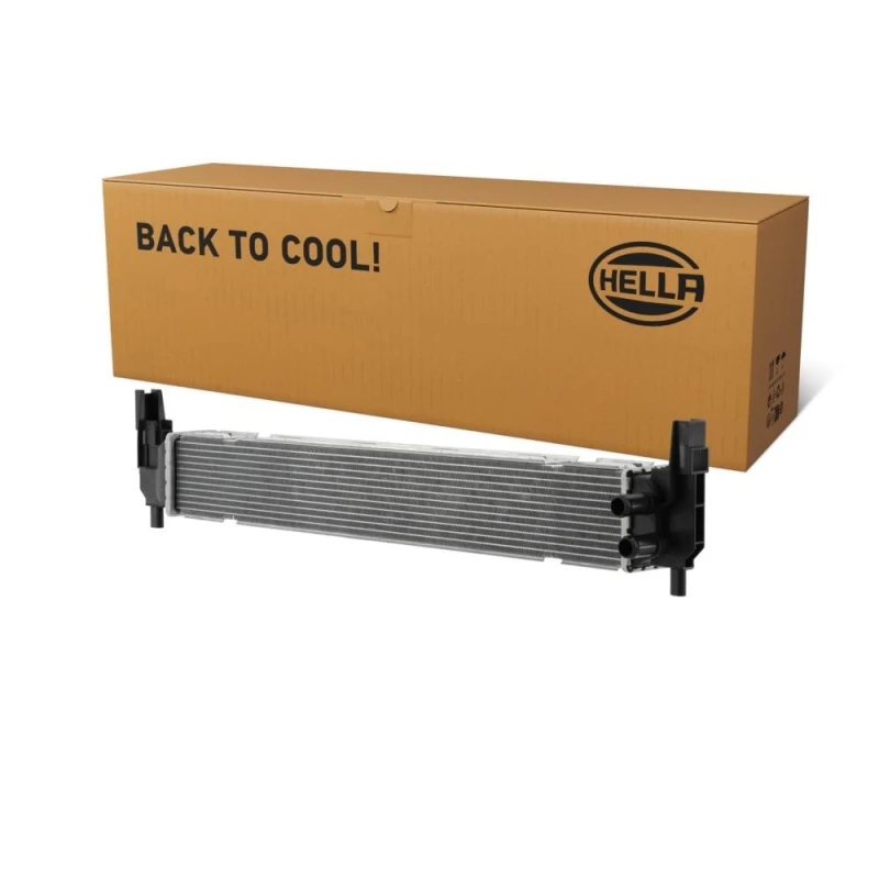Image of HELLA Engine radiator HELLA 8MK 366 302-121