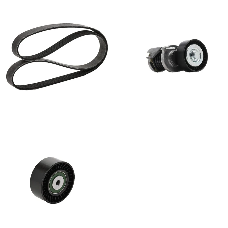 Image of goCORE GCE420031 V-ribbed belt set V-Ribbed Belt Set (542)