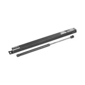 Image of RIDEX Tailgate strut 219G0086 Gas spring, boot- / cargo area,Boot struts PEUGEOT,206 CC (2D)