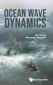 Image of Ocean Wave Dynamics