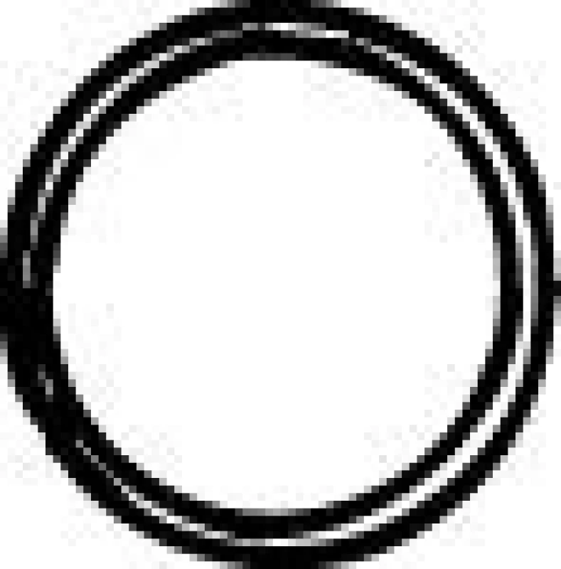 Image of Seal, exhaust pipe VEGAZ OD-137