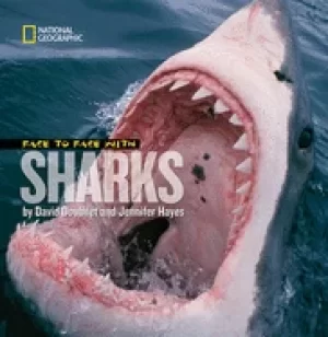 Image of face to face with sharks