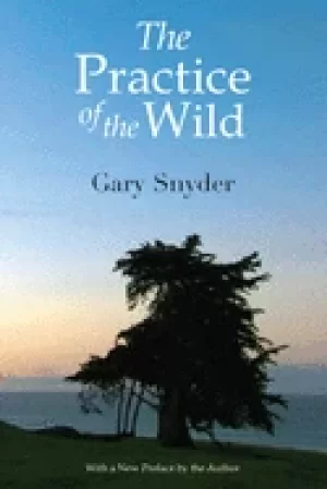 Image of practice of the wild with a new preface