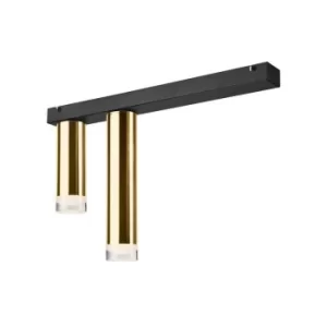 Image of Diego Surface Mounted Downlight Gold, 2x E27