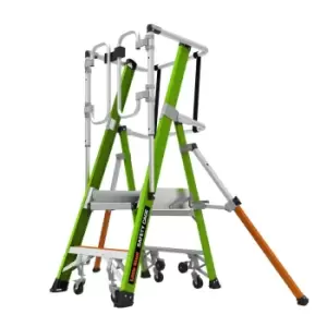 Image of 2 Tread Safety Cage Series 2.0