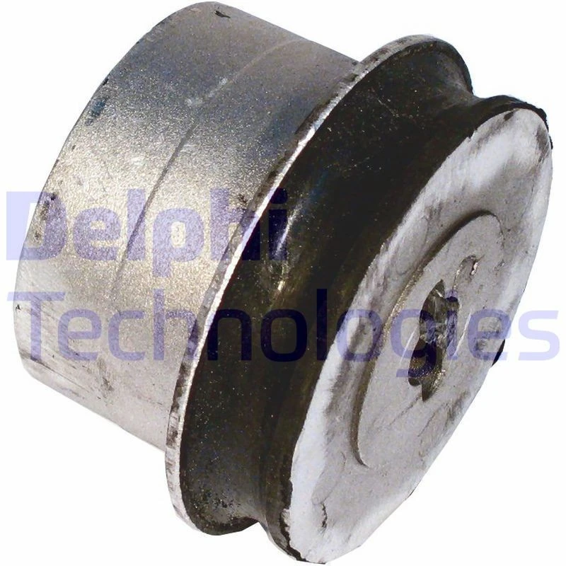 Image of DELPHI Trailing arm / Suspension arm bush DELPHI TD527W