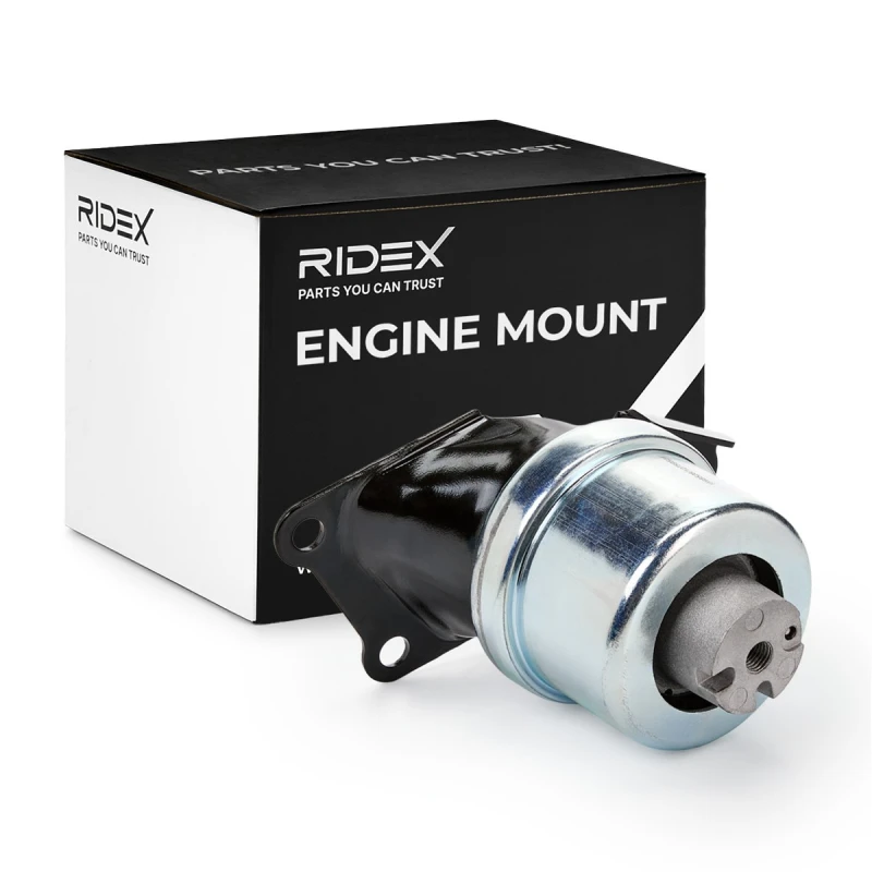 Image of Engine mount RIDEX 247E0329