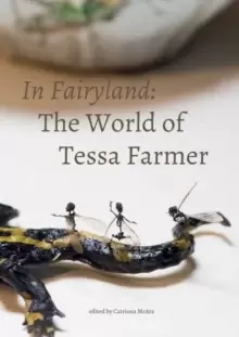 Image of In Fairyland : The World of Tessa Farmer