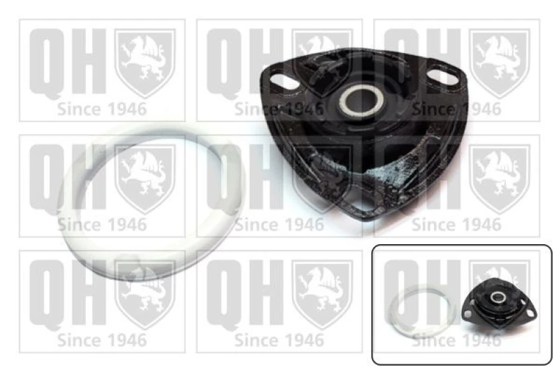 Image of QUINTON HAZELL Repair kit, suspension strut QUINTON HAZELL EMA1924