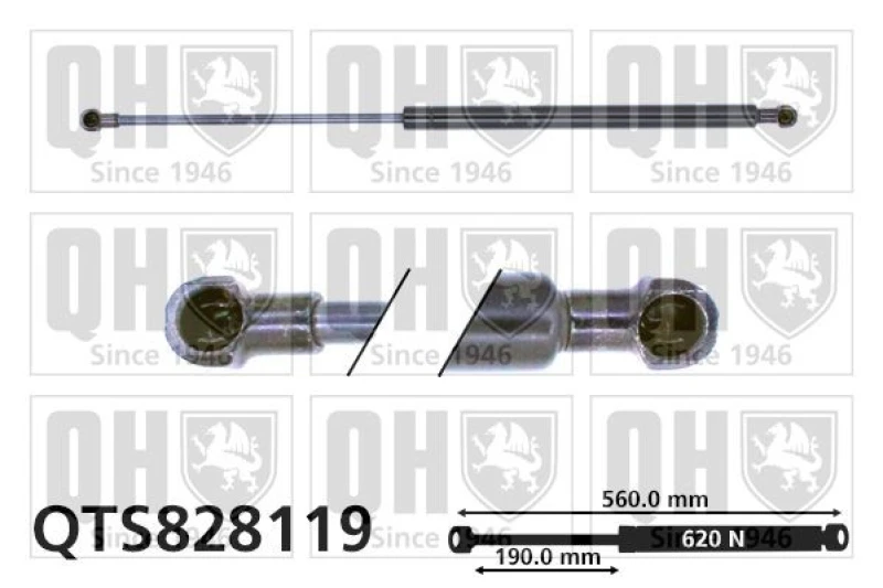 Image of QUINTON HAZELL Tailgate strut QUINTON HAZELL QTS828119