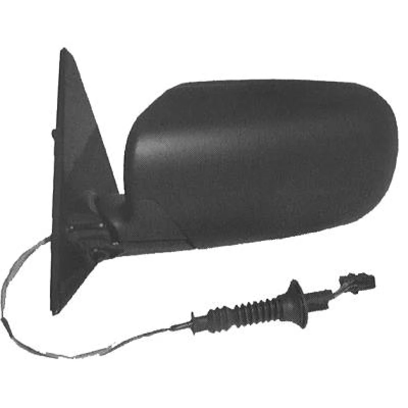 Image of DIEDERICHS 1242425 Wing mirror Left, Blue-tinted Outside Mirror (50)