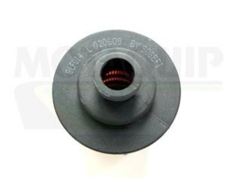Image of MOTAQUIP Oil filter MOTAQUIP VFL545
