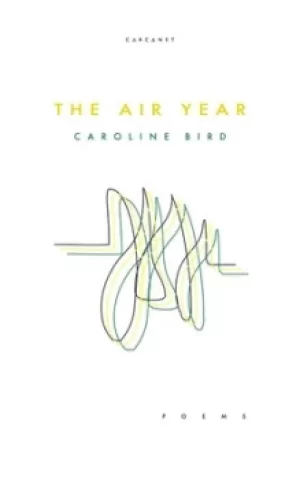 Image of The air year by Caroline Bird
