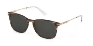 Police Sunglasses SPLD47 09N3