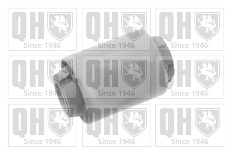 Image of QUINTON HAZELL Trailing arm / Suspension arm bush QUINTON HAZELL EMS8327