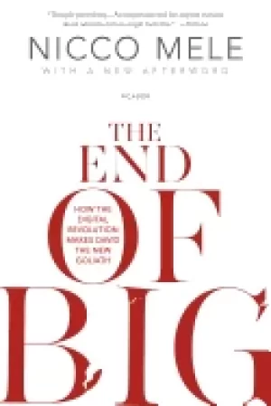 Image of end of big how the digital revolution makes david the new goliath