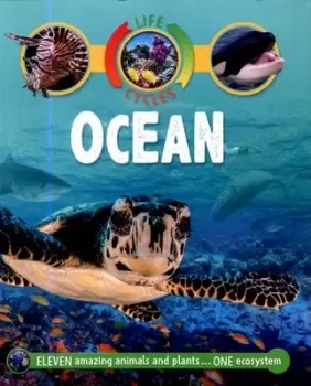 Image of Ocean by Sean Callery