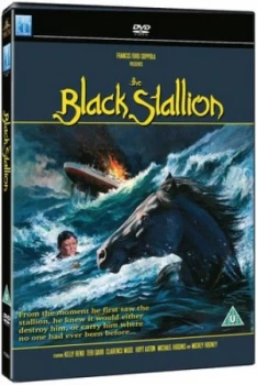 Image of The Black Stallion - DVD
