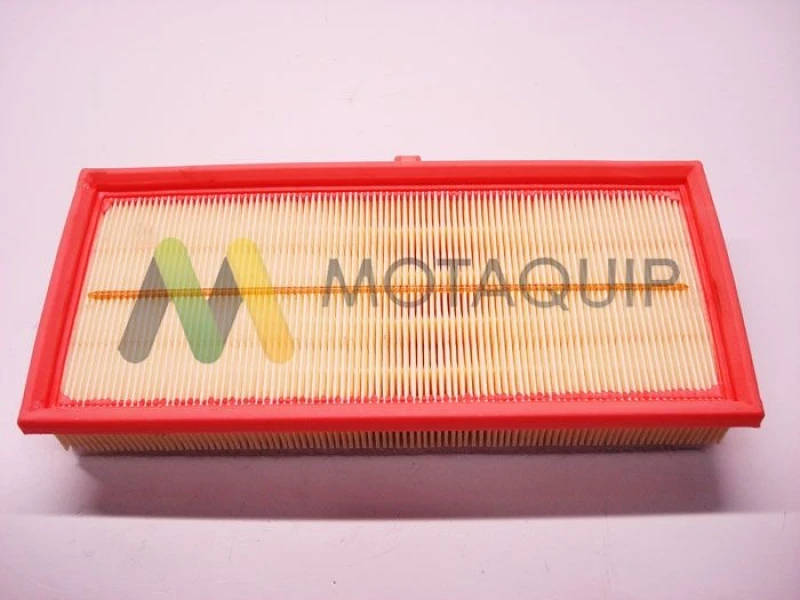 Image of MOTAQUIP Air filter MOTAQUIP LVFA1481